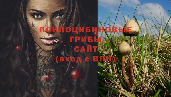 крисы Белоозёрский