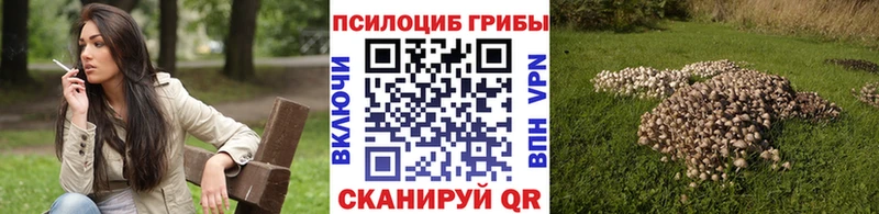 mega вход  Невельск  Псилоцибиновые грибы ЛСД  купить наркотики сайты 